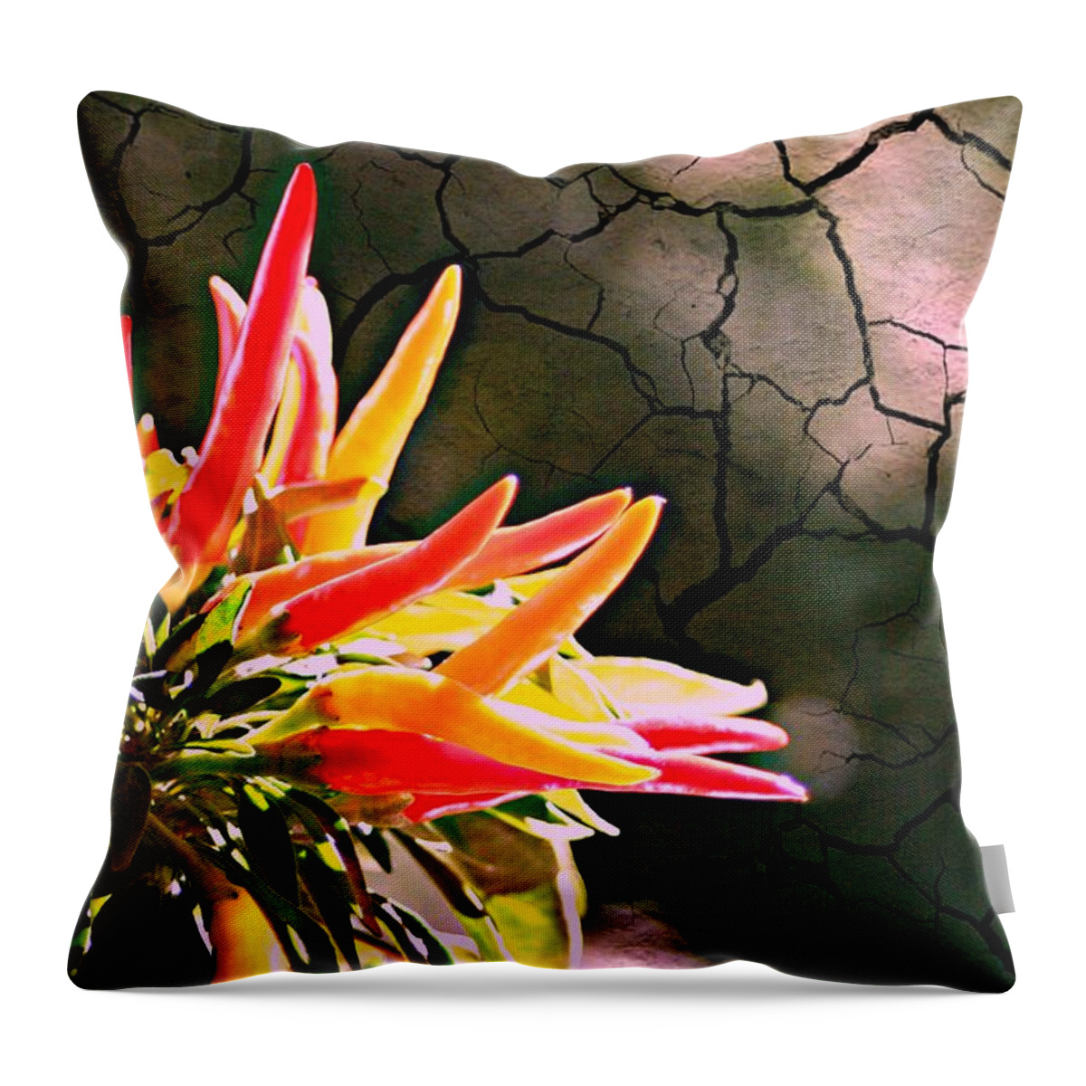 Abstract Throw Pillow featuring the photograph Patio Pepper Plant by Barbara S Nickerson