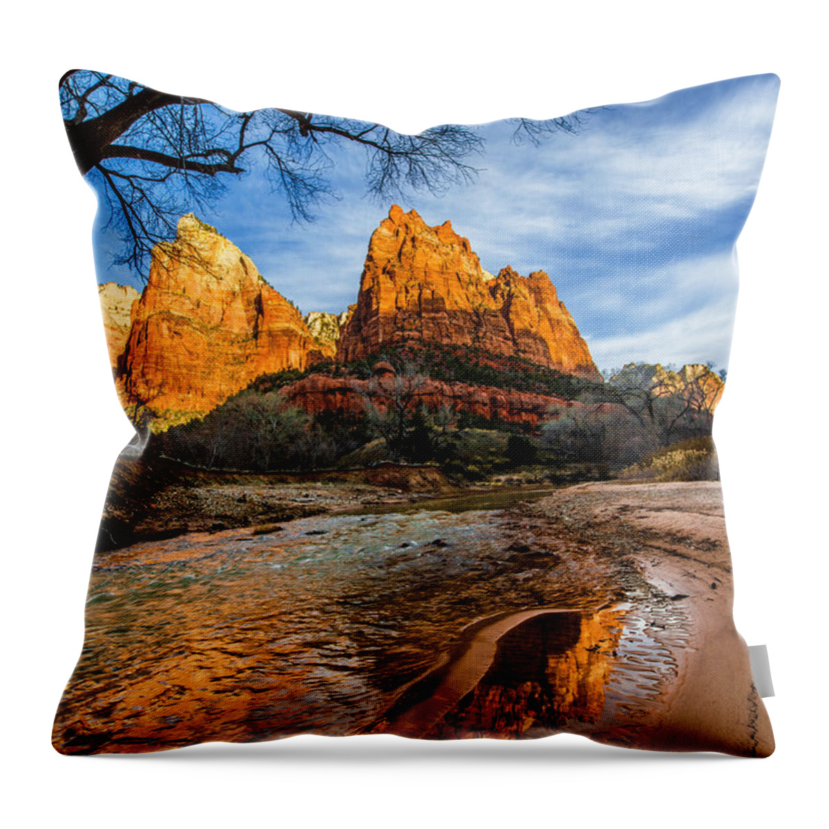 Patriarchs Of Zion Throw Pillow featuring the photograph Patriarchs of Zion by Chad Dutson