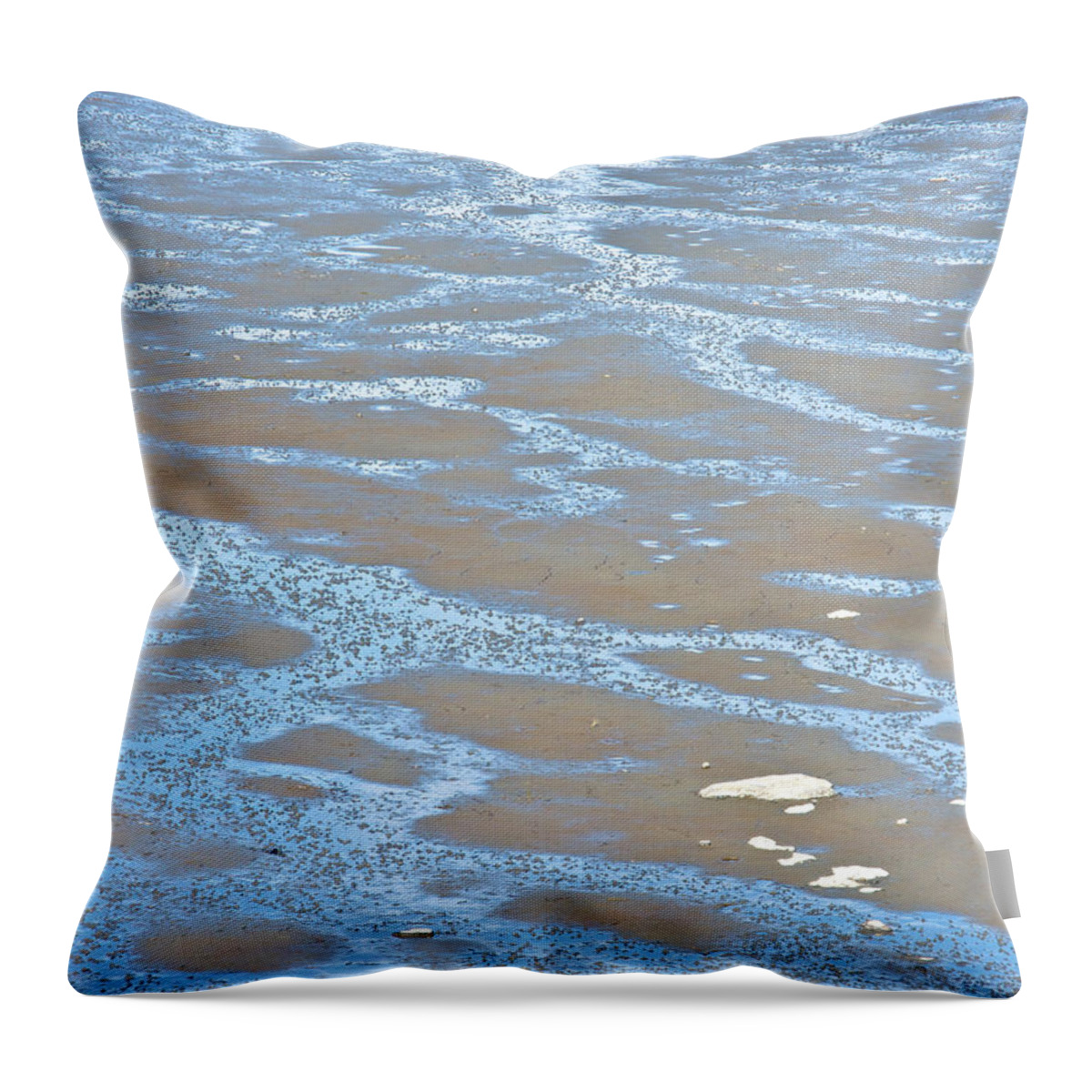 Pattern In Mud Flats At Low Tide In Kachemak Bay Throw Pillow featuring the photograph Pattern in Mud Flats at Low Tide in Kachemak Bay from Homer Spit-Alaska by Ruth Hager