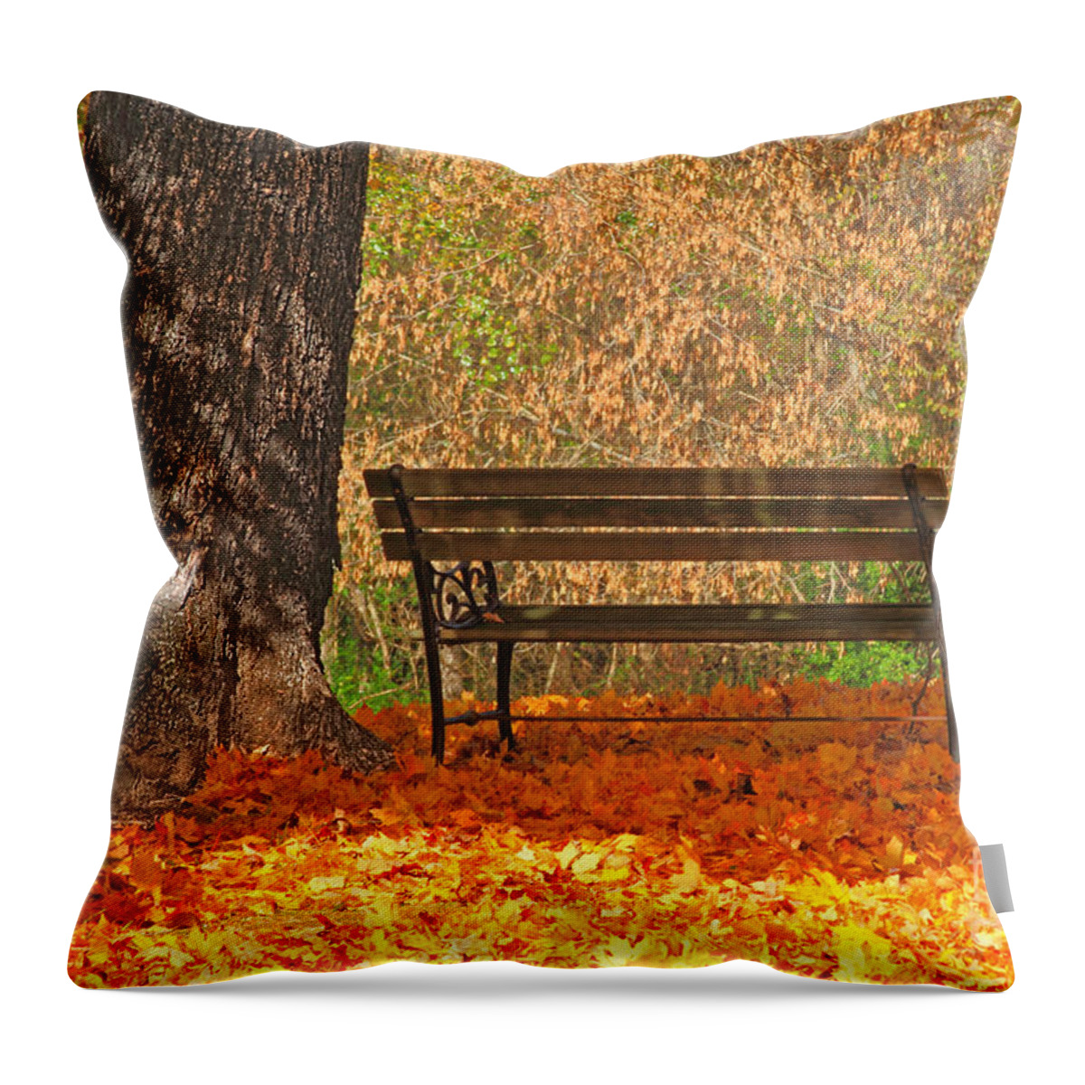 Tree Throw Pillow featuring the photograph Peace and Quiet by Geraldine DeBoer