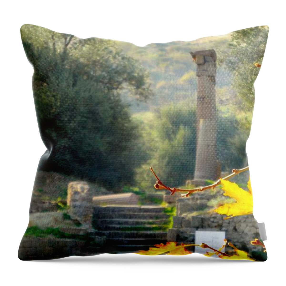 Landscape Throw Pillow featuring the photograph Peace at Asclepion by Alan Lakin