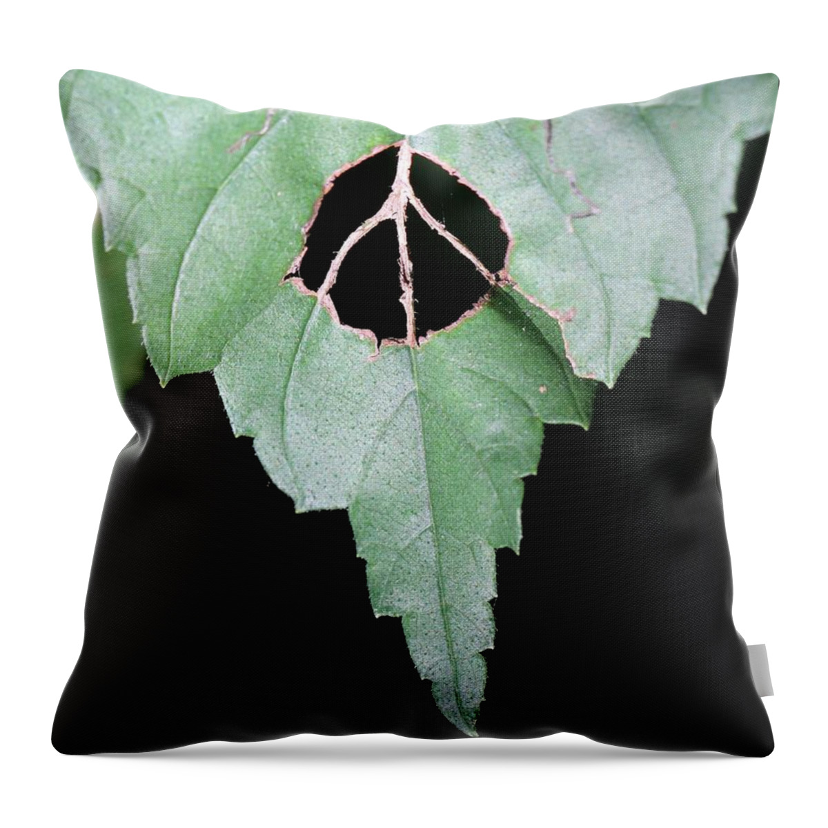 Peace Throw Pillow featuring the photograph Peace For The Planet by Doris Potter