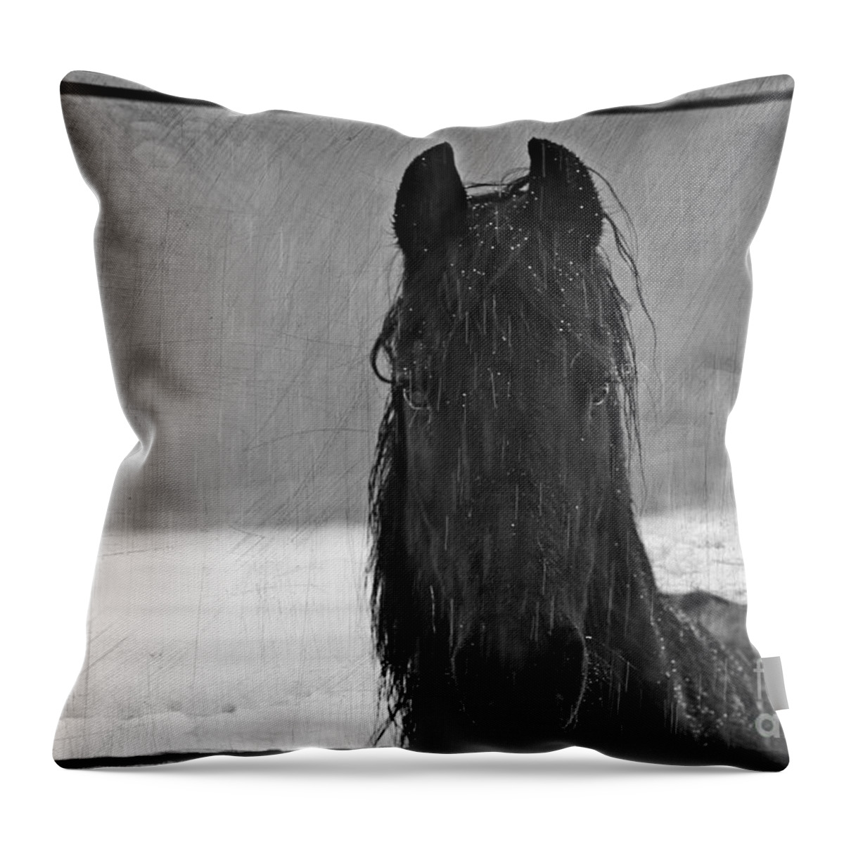 Animal Throw Pillow featuring the photograph Peace in the Storm by Michelle Twohig