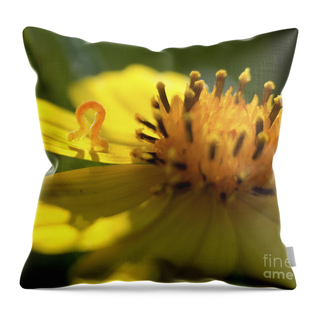 Ryan Smith Throw Pillow featuring the photograph Peace by Ryan Smith