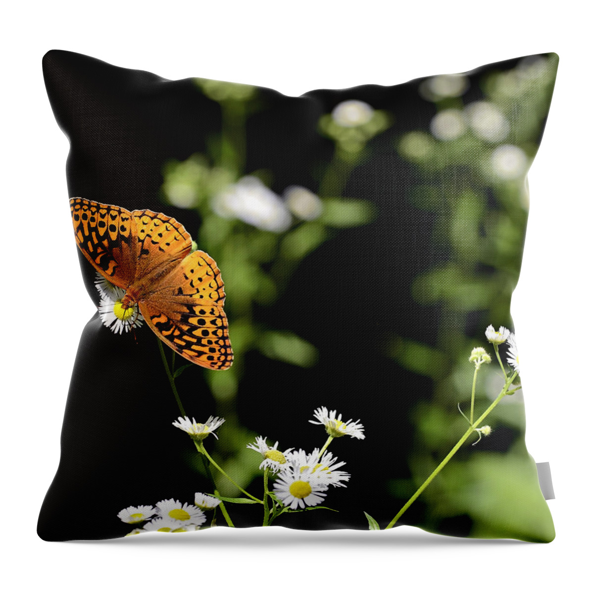 Butterfly Throw Pillow featuring the photograph Peaceful Forest by Susan Leggett