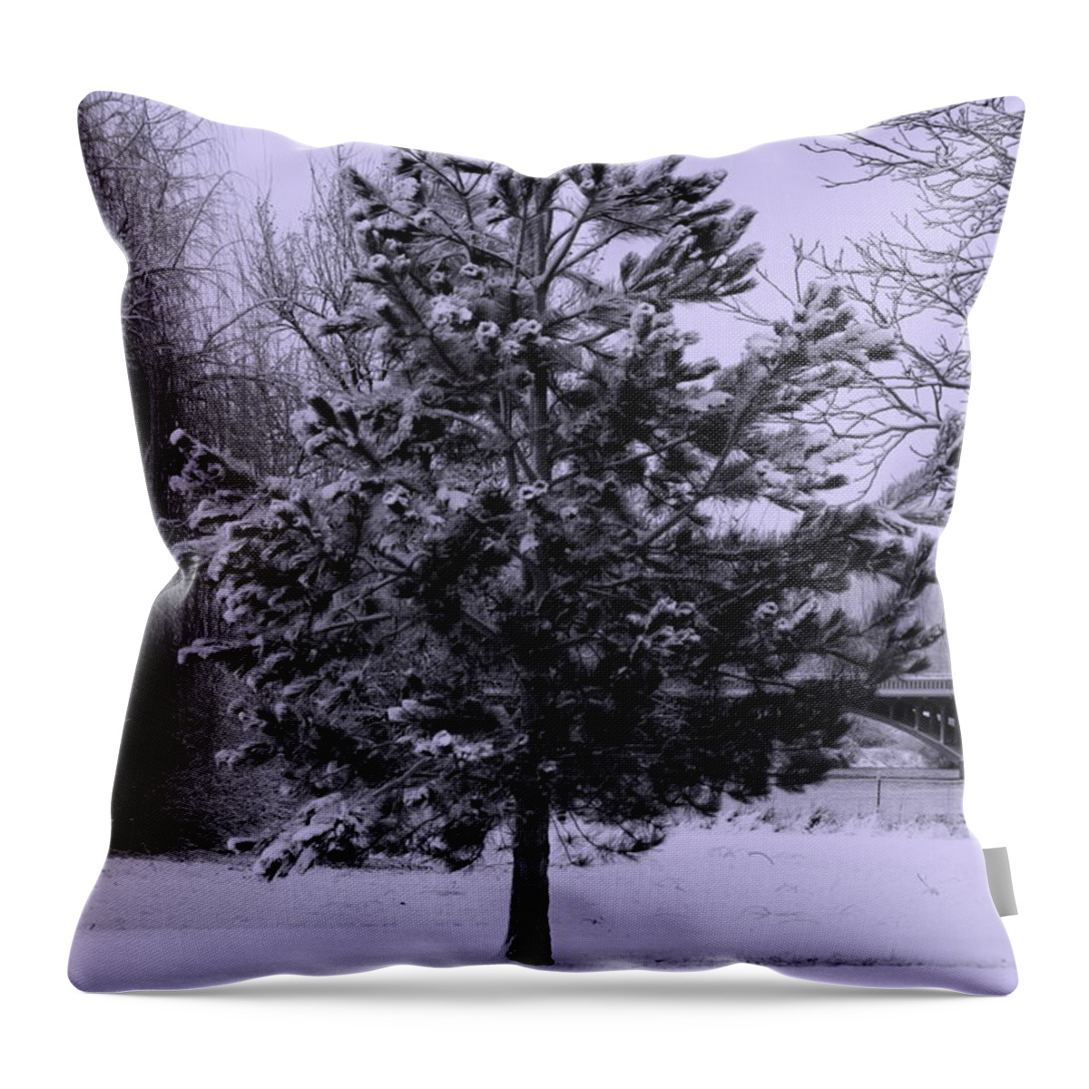 Peaceful Holiday Card Throw Pillow featuring the photograph Peaceful Holidays by Carol Groenen
