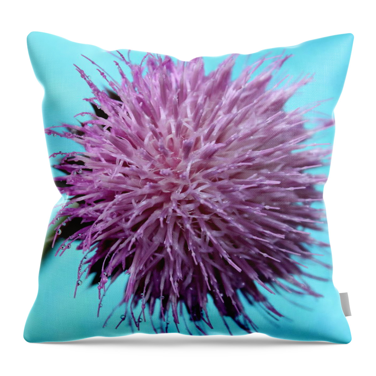 Thistle Throw Pillow featuring the photograph Peaceful Memories by Krissy Katsimbras