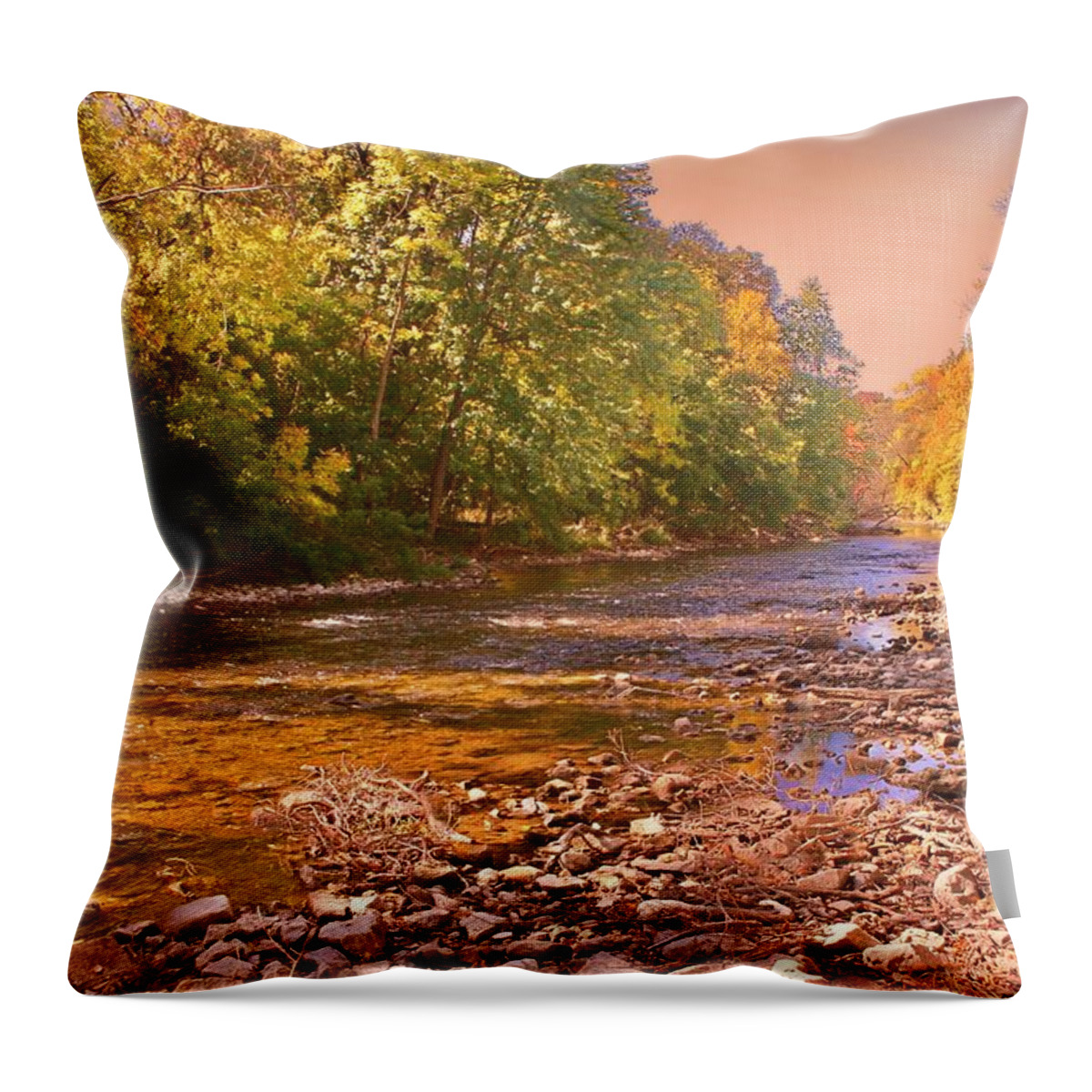 Stream Throw Pillow featuring the photograph Peaceful Retreat by Susan McMenamin