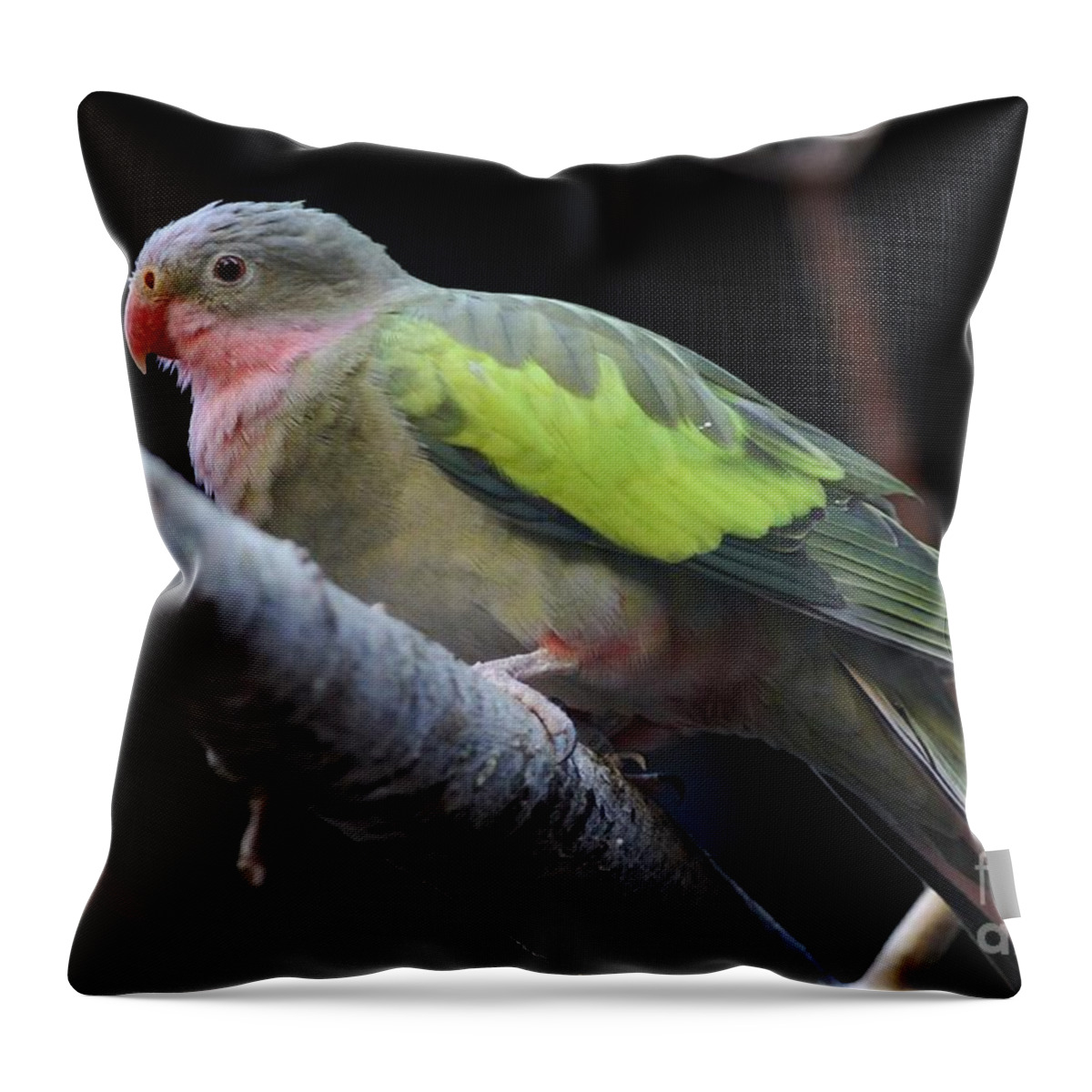 Zoo Throw Pillow featuring the photograph Peaceful by Tonya Hance