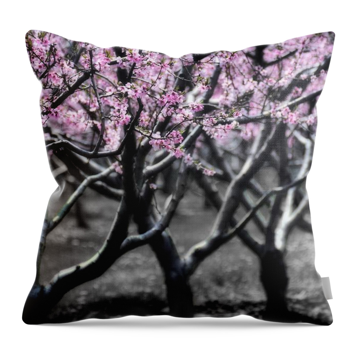 Tree Throw Pillow featuring the photograph Cotton Candy by Henry Kowalski