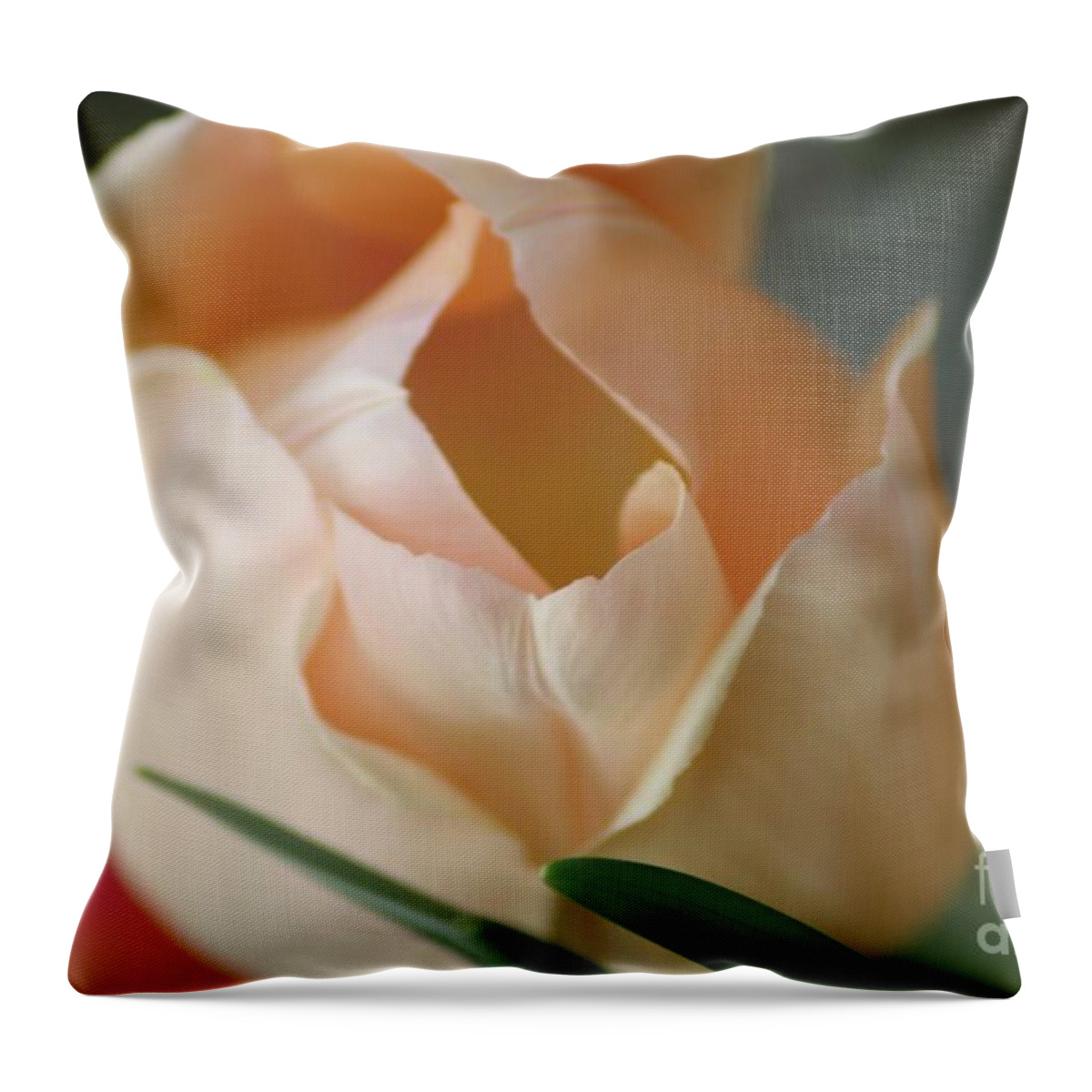 Floral Throw Pillow featuring the photograph Peach Harmony by Mary Lou Chmura