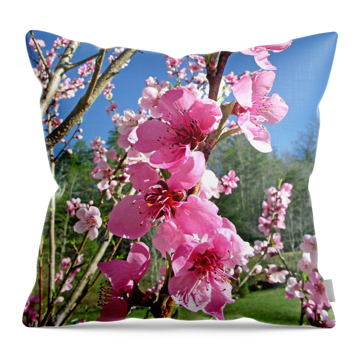 Plants Throw Pillow featuring the photograph Peach Tree Blossoms in Spring by Duane McCullough
