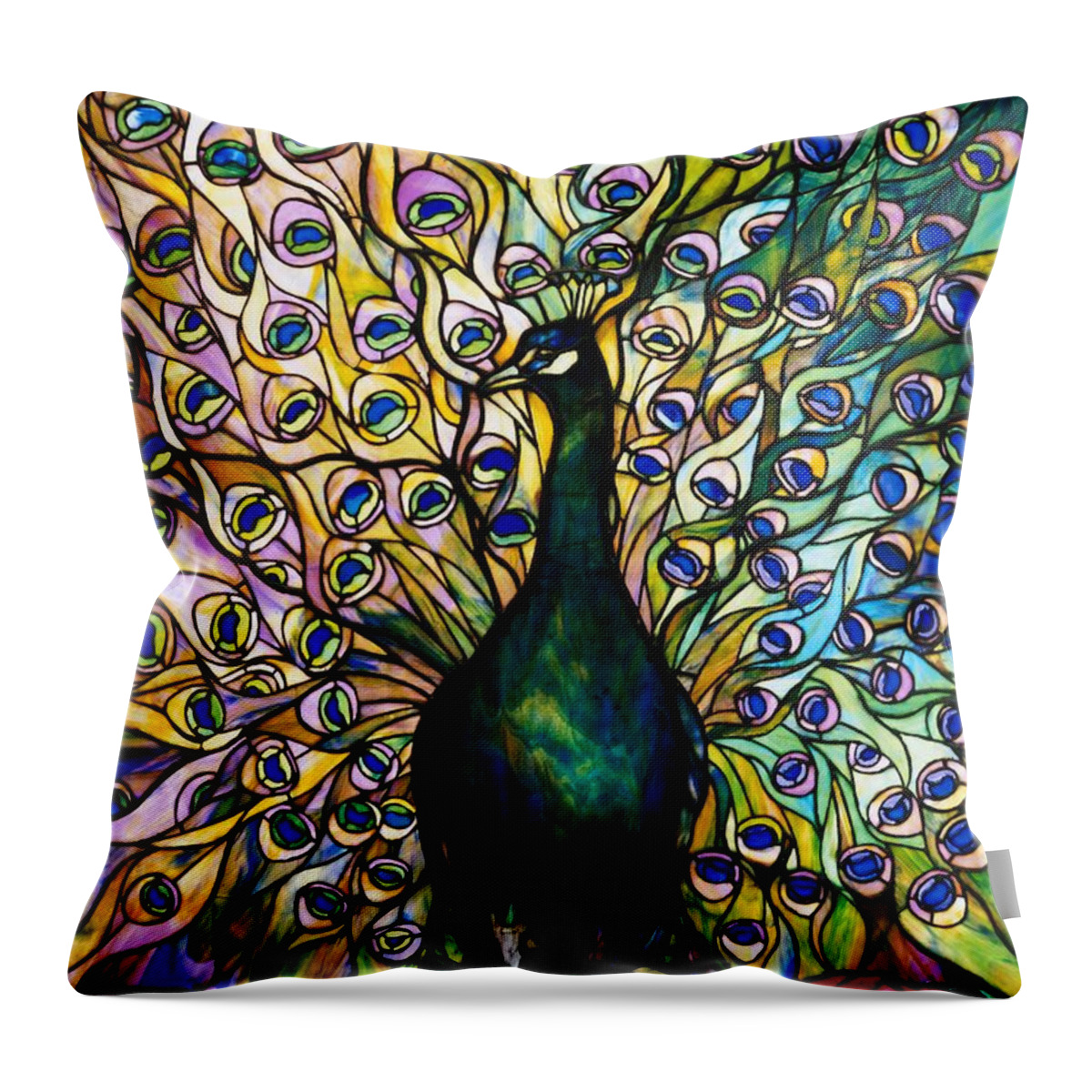 Peacock Throw Pillow featuring the photograph Peacock by American School