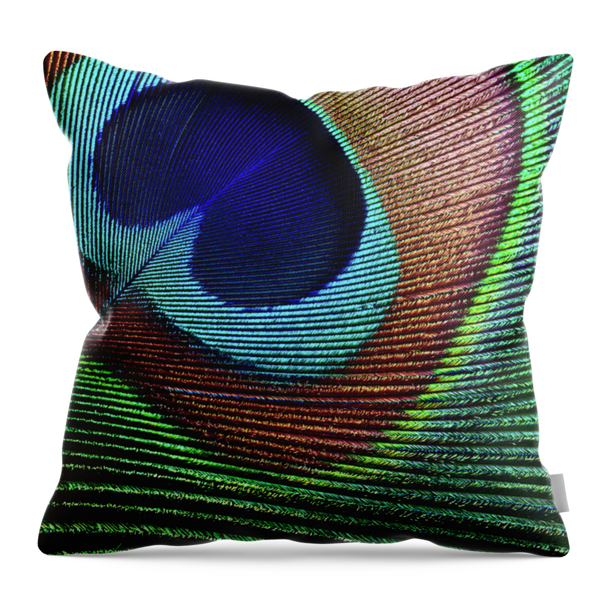 Home Decor Throw Pillow featuring the photograph Peacock Feather by Ithinksky
