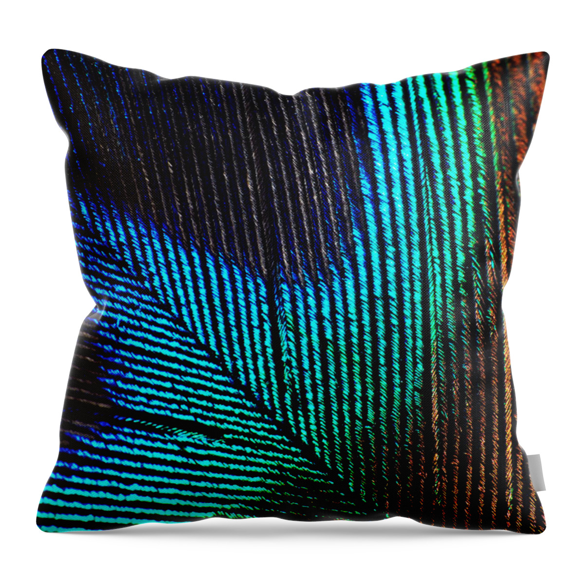 Photograph Throw Pillow featuring the photograph Peacock Feather by Larah McElroy