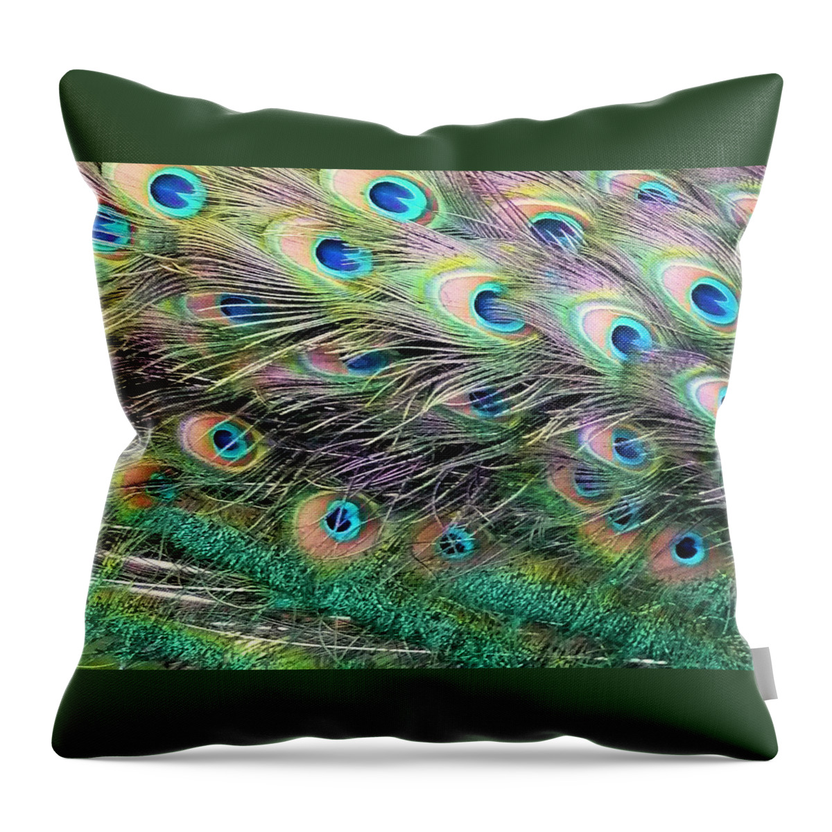Peacock Throw Pillow featuring the photograph Peacock Feathers by Jane Girardot