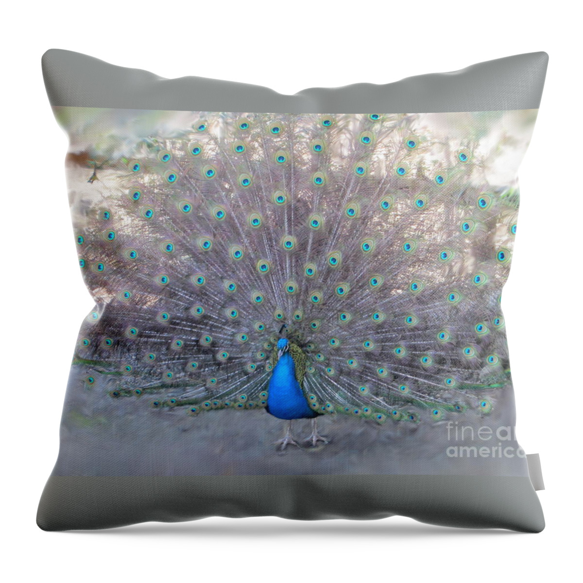 Peacock Throw Pillow featuring the photograph Peacock3 by Laurianna Taylor