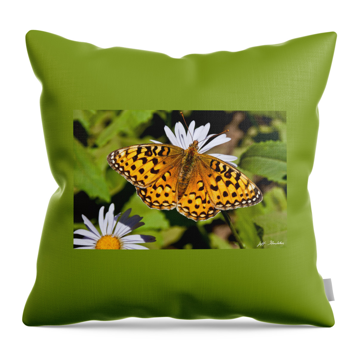 Aster Throw Pillow featuring the photograph Pearl Border Fritillary Butterfly on an Aster Bloom by Jeff Goulden