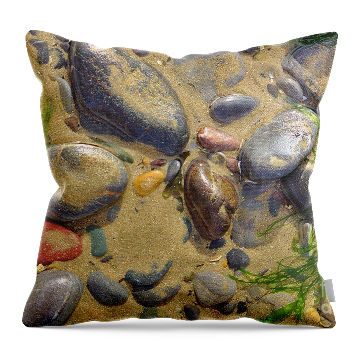 Beach Pebbles Throw Pillow featuring the photograph Pebbles on the Beach by Jeremy Hayden