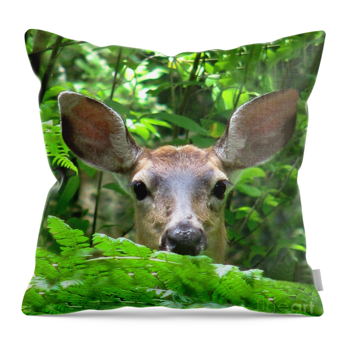 Wildlife Throw Pillow featuring the photograph Peek-A-Boo by Rory Siegel
