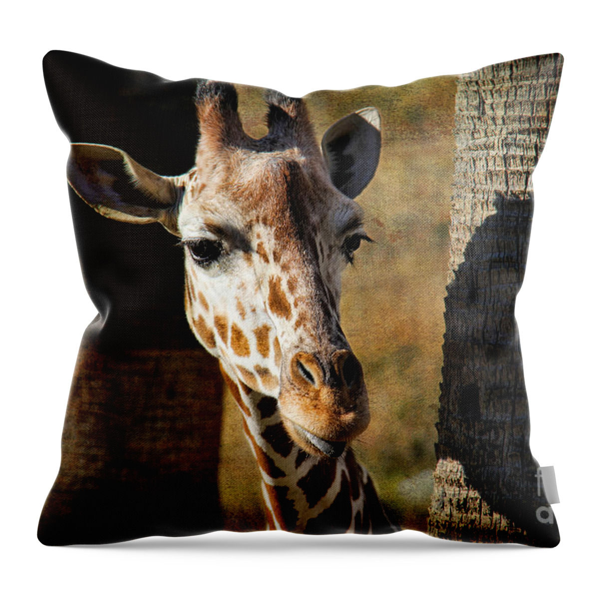 Peekaboo Giraffe Throw Pillow featuring the photograph Peekaboo Giraffe by Mariola Bitner