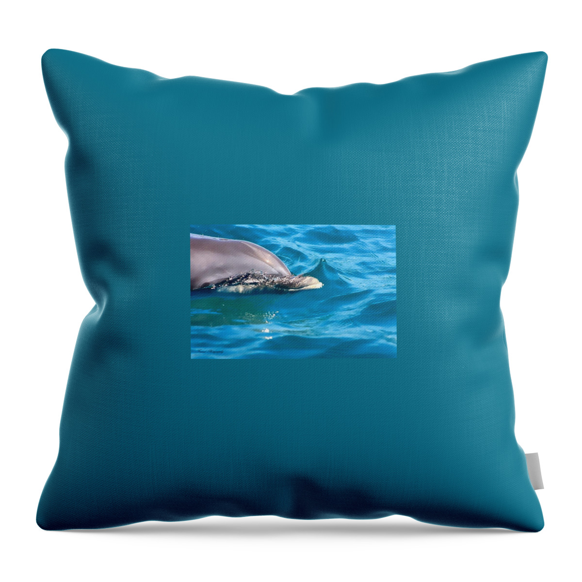 Dolphin Throw Pillow featuring the photograph Peeking Dolphin by Debra Forand