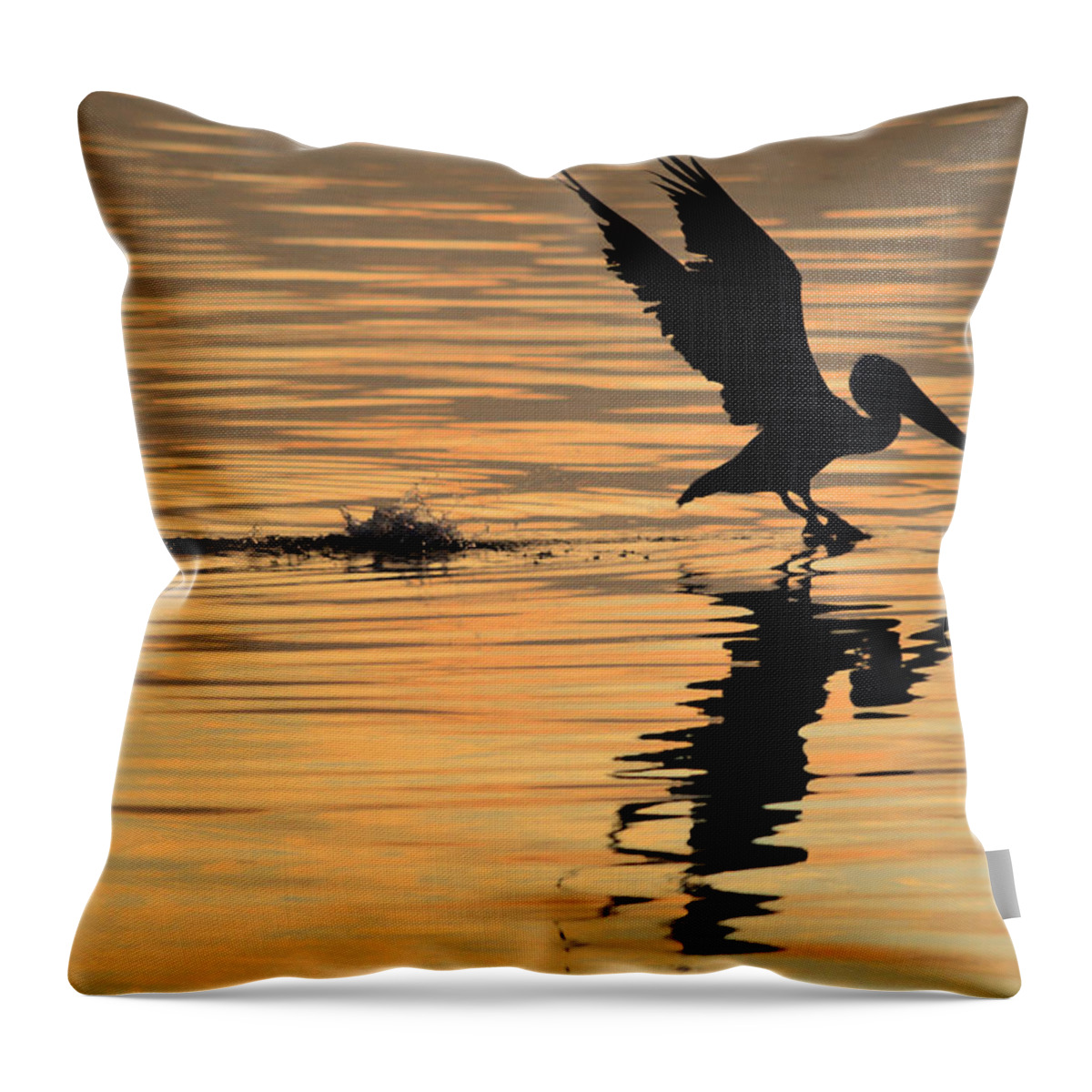 Water Throw Pillow featuring the photograph Pelican at Sunrise by Leticia Latocki