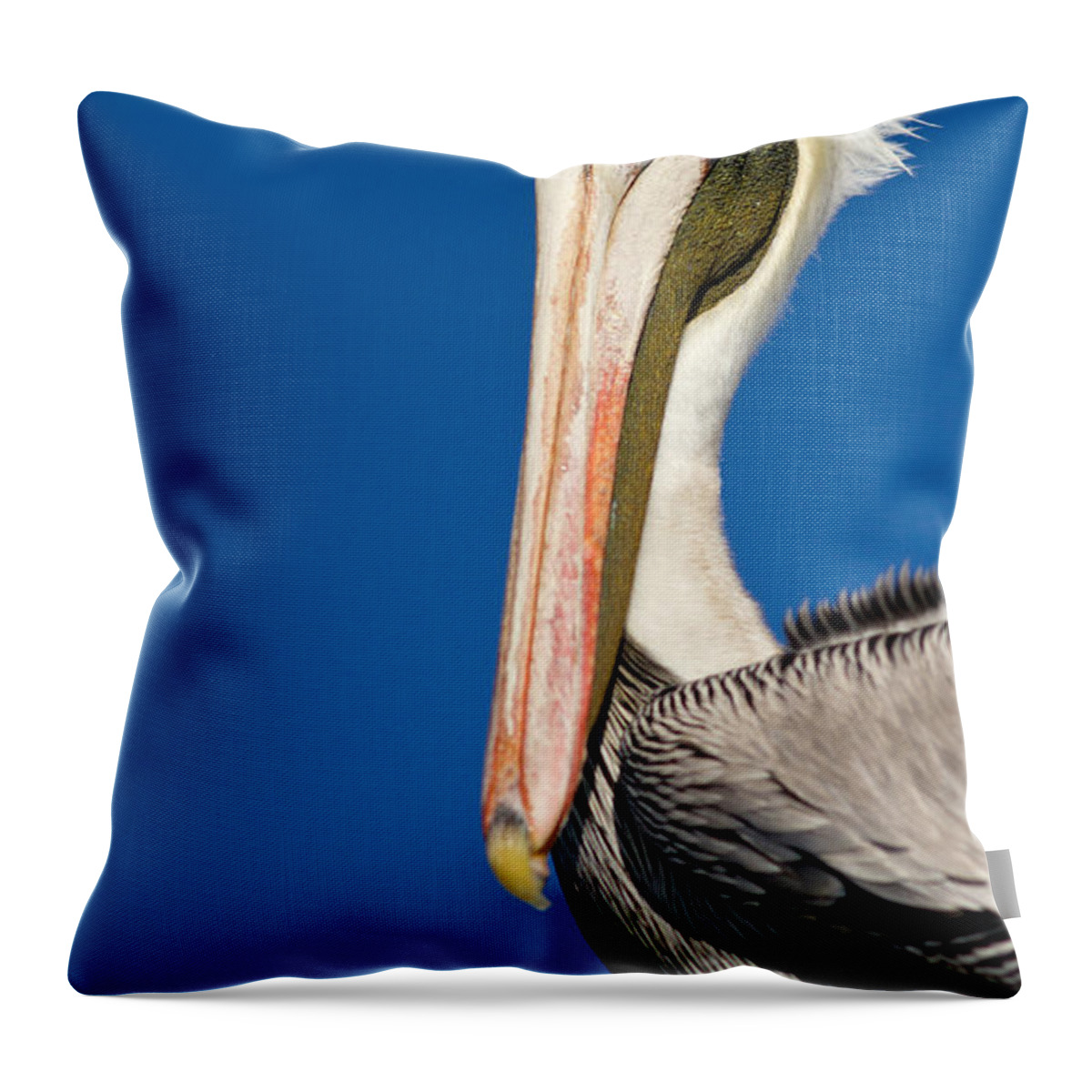 Portrait Throw Pillow featuring the photograph Pelican by Les Palenik