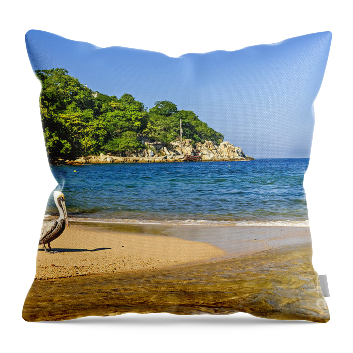 Pelican Throw Pillow featuring the photograph Pelican on beach by Elena Elisseeva