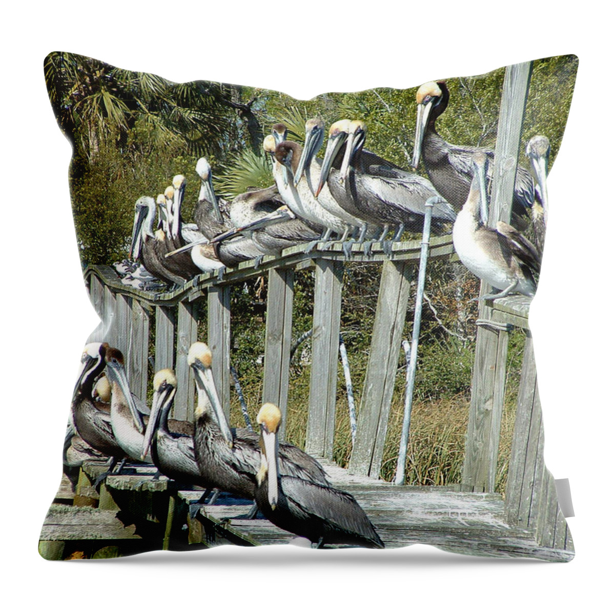 Pelican Throw Pillow featuring the photograph Pelican Party by Audrey Peaty