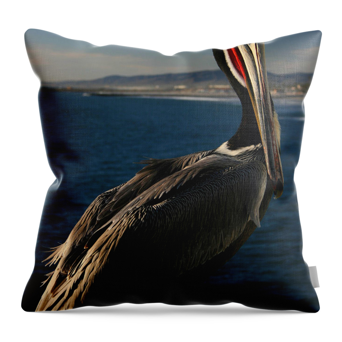 Pelican Throw Pillow featuring the photograph Pelican Portrait by Scott Cunningham