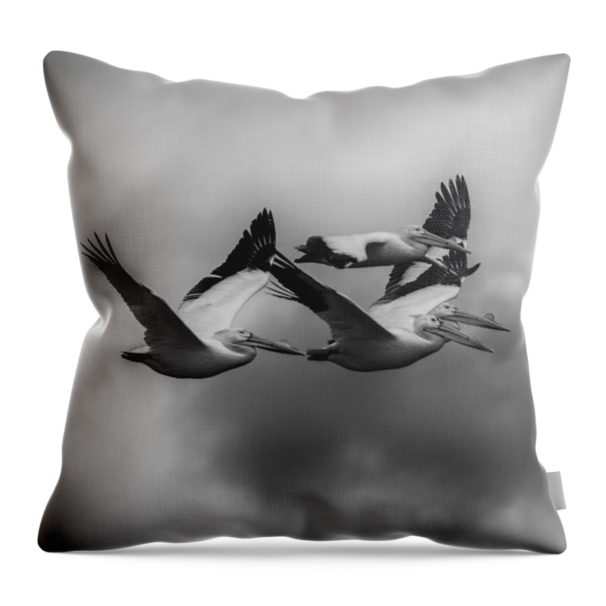 Flying White Pelicans Throw Pillow featuring the photograph Pelicans In Flight by Thomas Young