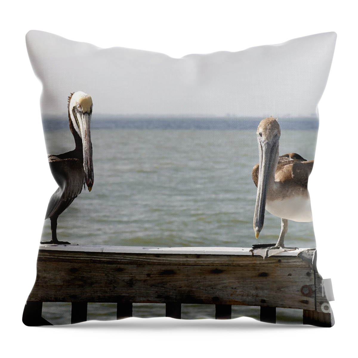 Florida Throw Pillow featuring the digital art Pelicans on the Pier at Fort Myers Beach in Florida by William Kuta