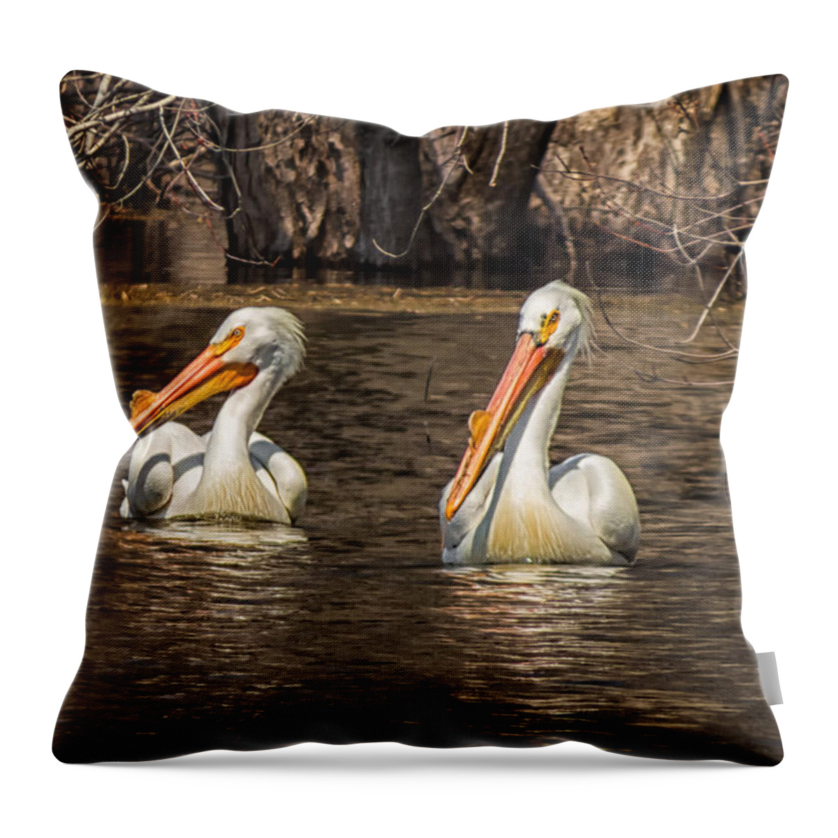 Pelican Bird River Lake Water Pond Reflection Feather Beak Bill Fish Plume Texture Color Orange Yellow Green Blue White Black Ripples Fowl Waterfowl Decorate Spring Summer Open Wall Hand Real Estate Sell Stage Staging Living Room Cabin Outdoor Wildlife Branches Brown Wet Eyes Great River Road Throw Pillow featuring the photograph Pelicans by Tom Gort