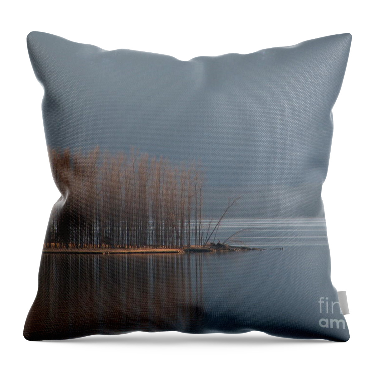 Trees Throw Pillow featuring the photograph Peninsula of Trees by Leone Lund