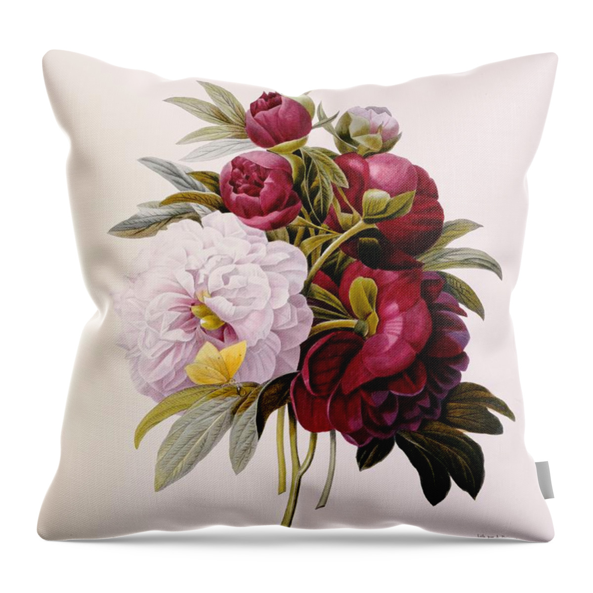 Peony; Flower; Flowers; Pink; White; Botanical Throw Pillow featuring the painting Peonies engraved by Prevost by Pierre Joseph Redoute