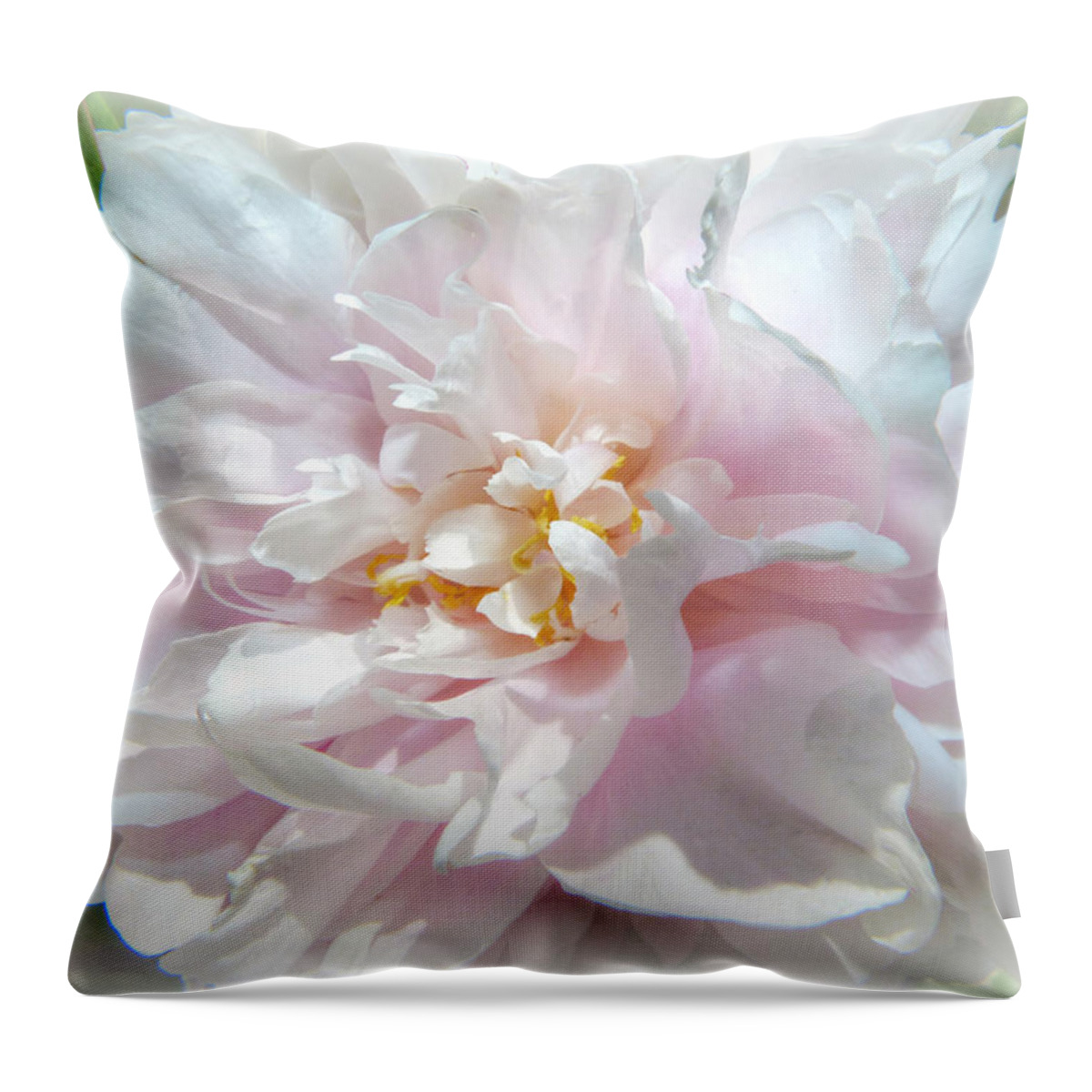 Peony Throw Pillow featuring the photograph Peony by Geraldine Alexander