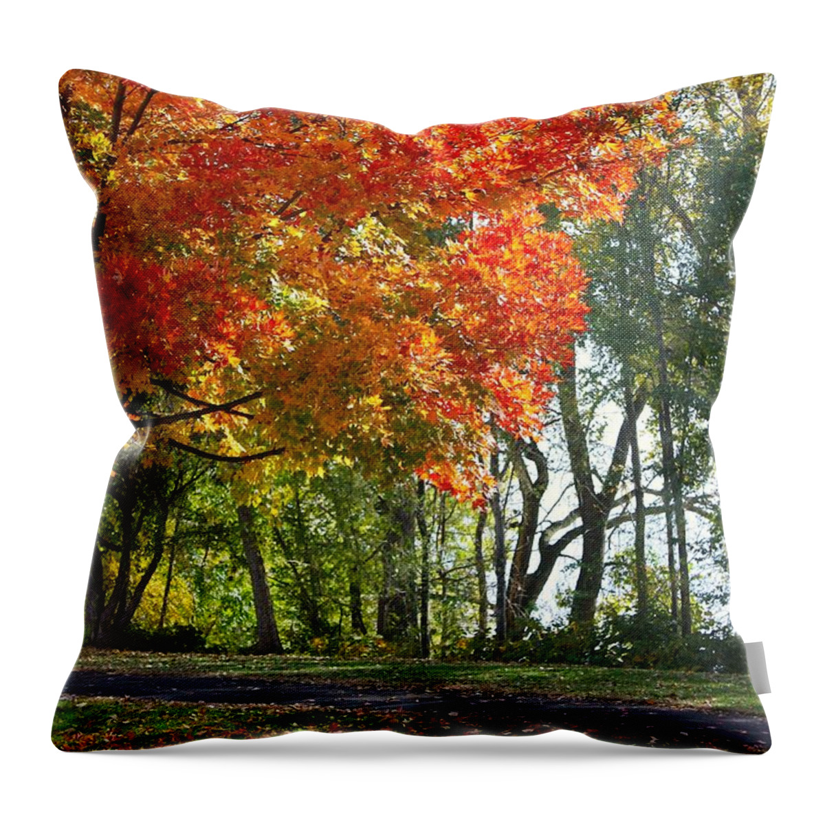 Peoria Throw Pillow featuring the photograph Peoria Riverfront Park in Autumn Two by Veronica Batterson