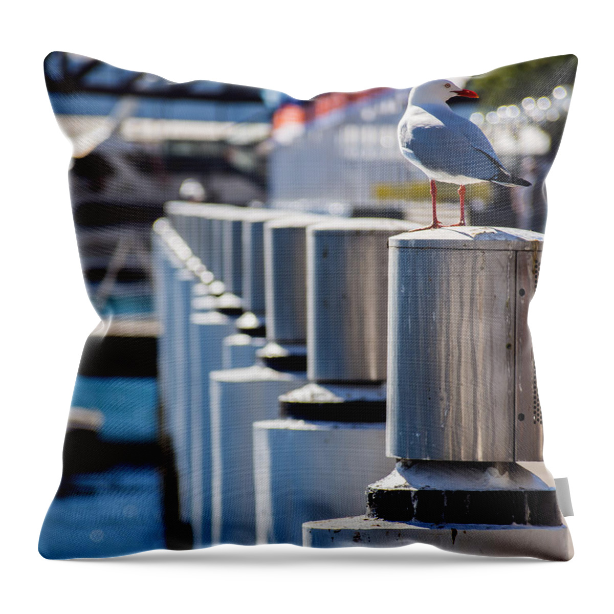 Seagull Throw Pillow featuring the photograph Perched by Kaleidoscopik Photography