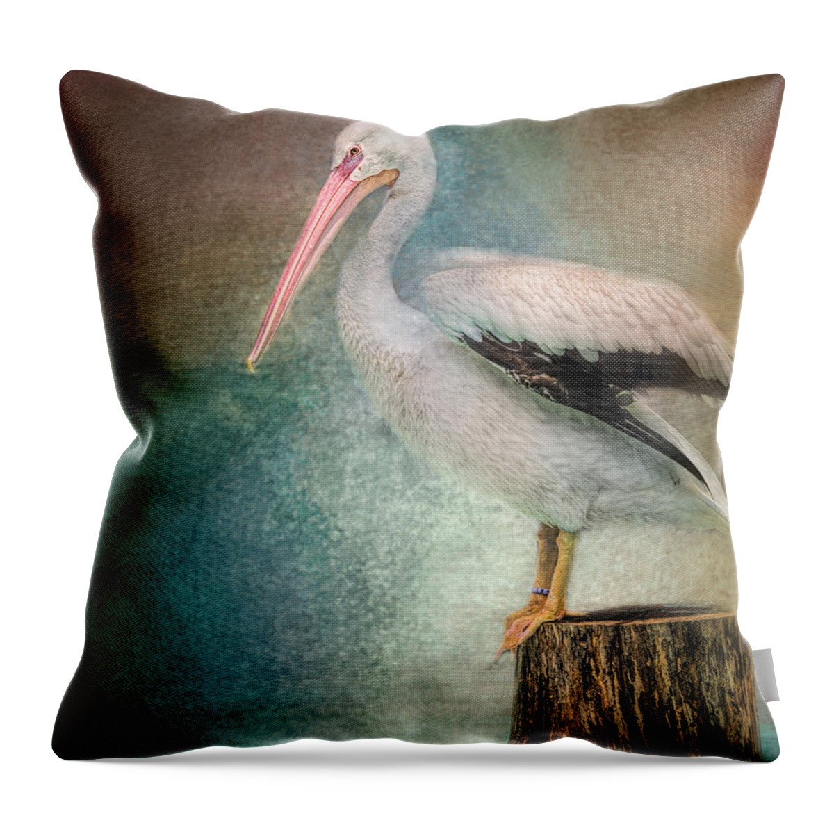 American White Pelican Throw Pillow featuring the photograph Perched Pelican by Jai Johnson