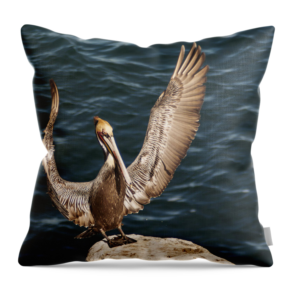 Photography Throw Pillow featuring the photograph Perfect Landing by Lee Kirchhevel