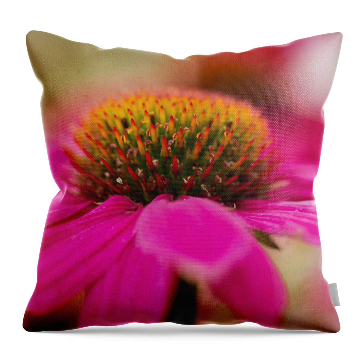 Clare Bambers Throw Pillow featuring the photograph Perfectly Pink. by Clare Bambers