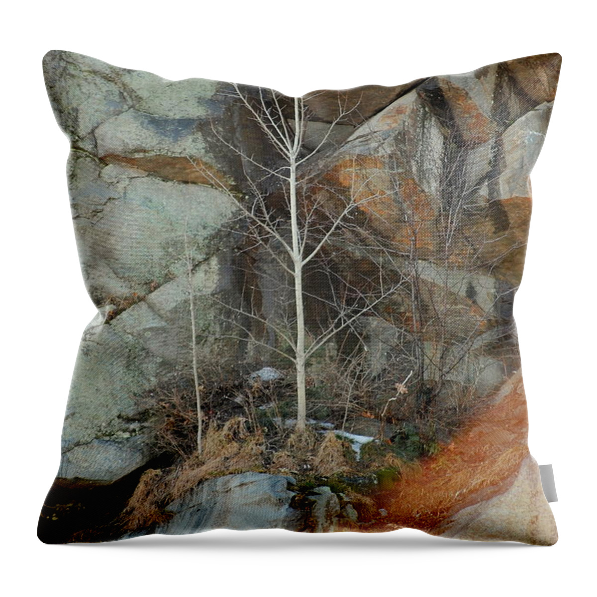 Tree Throw Pillow featuring the photograph Perseverance by Mim White