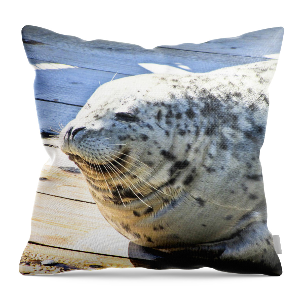 Seal Throw Pillow featuring the photograph Personality by Toni Somes