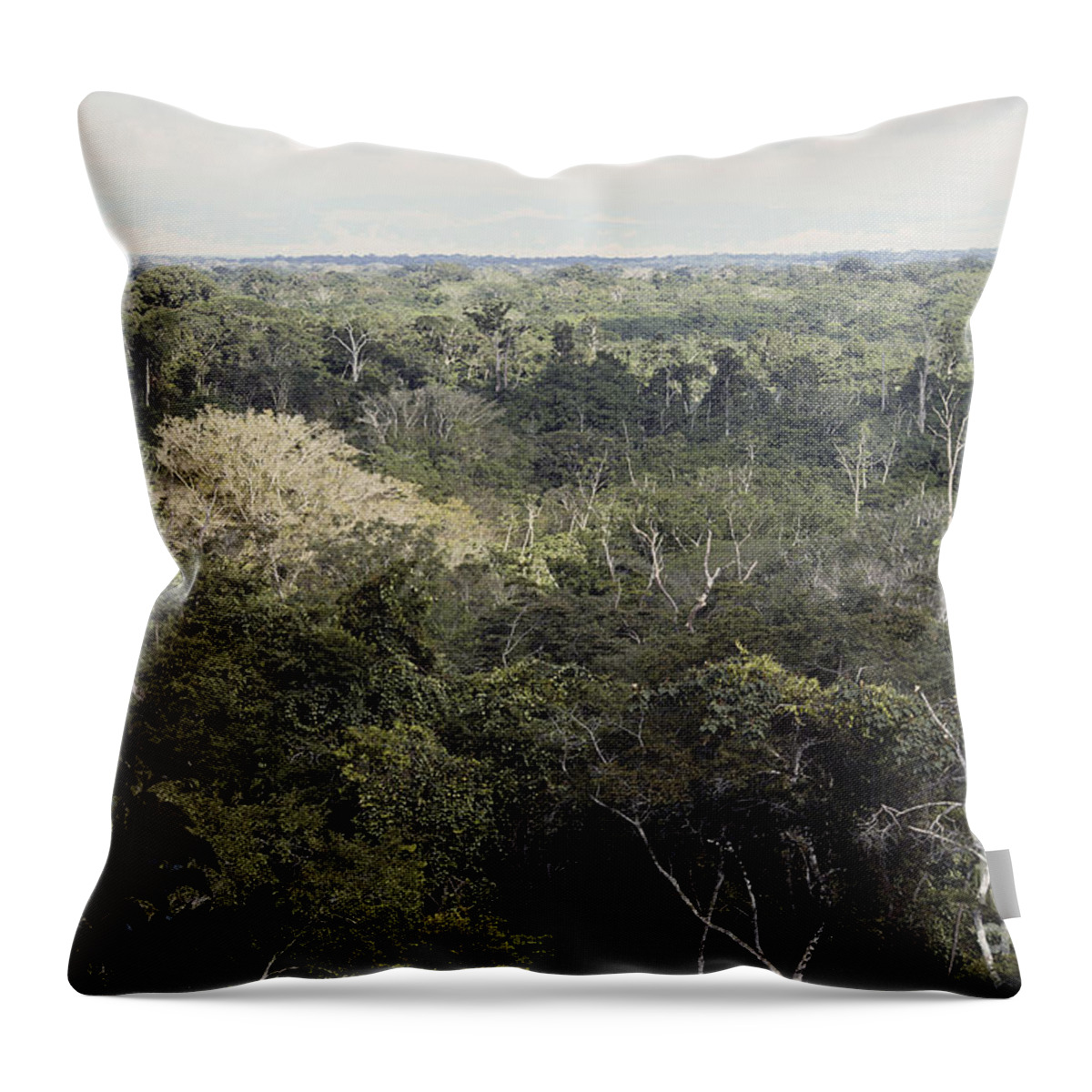 Rainforest Canopy Throw Pillow featuring the photograph Peruvian Rainforest Canopy by Gregory G. Dimijian, M.D.