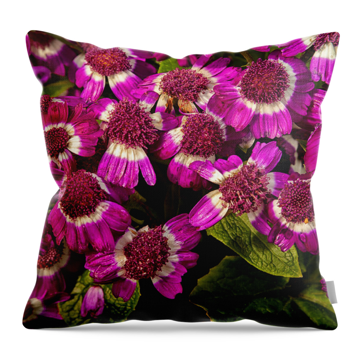 Flowers Throw Pillow featuring the photograph Petals After a Shower by Karol Livote
