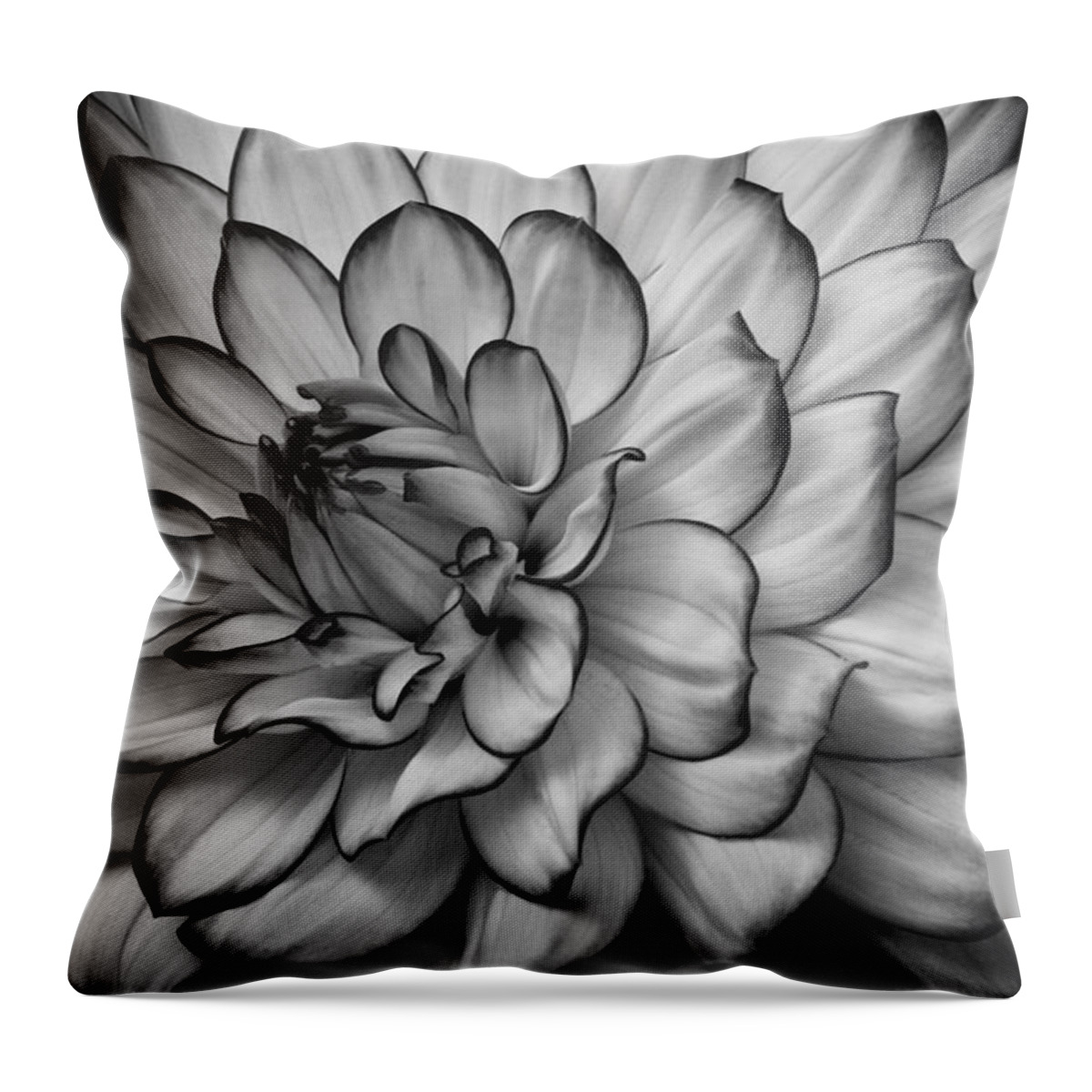 Dahlia Throw Pillow featuring the photograph Petals by Carrie Cranwill