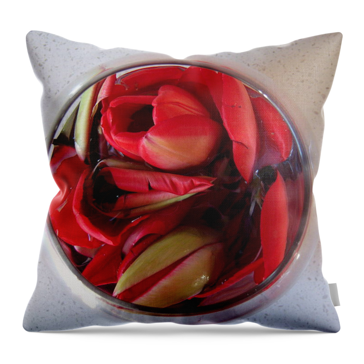 Flowers Throw Pillow featuring the photograph Petals in vase by Conor Murphy