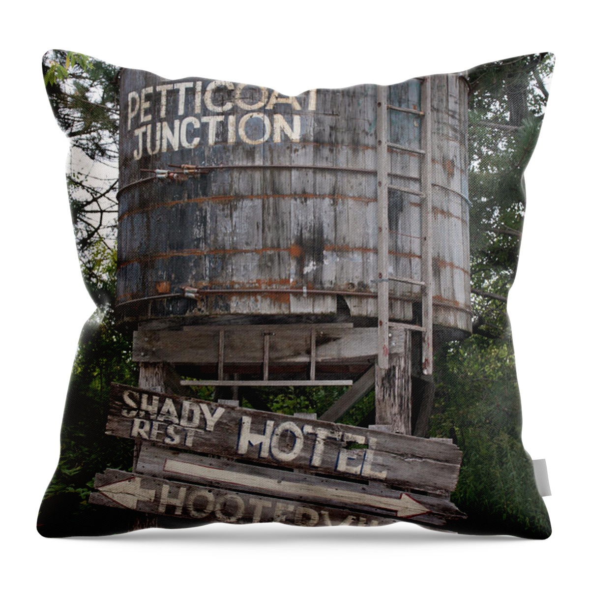 Petticoat Junction Throw Pillow featuring the photograph Petticoat Junction by Kristin Elmquist