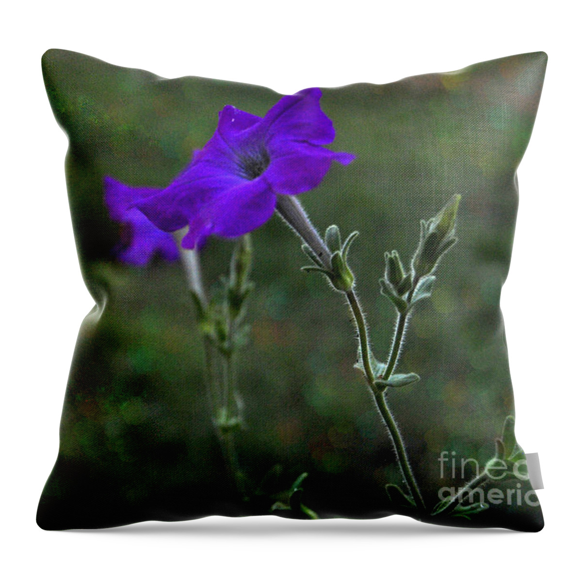 Purple Petunia Throw Pillow featuring the photograph Purple Petunia Botanical Study by Pamela Smale Williams